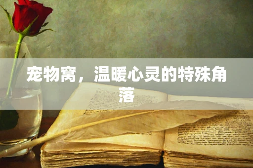 宠物窝，温暖心灵的特殊角落