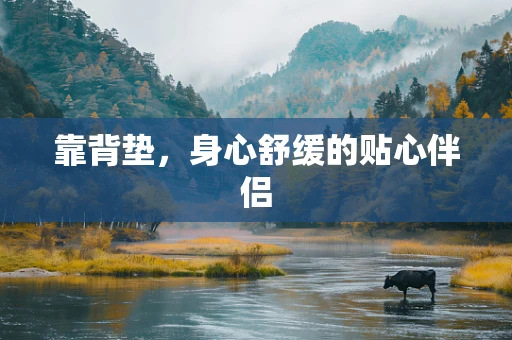 靠背垫，身心舒缓的贴心伴侣