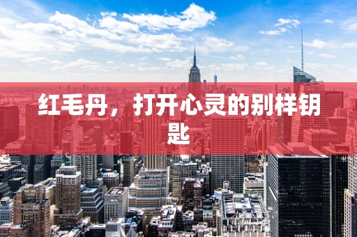 红毛丹，打开心灵的别样钥匙
