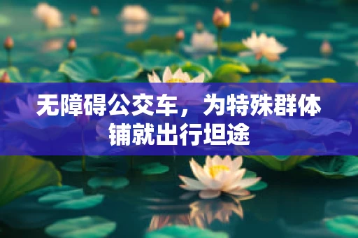 无障碍公交车，为特殊群体铺就出行坦途