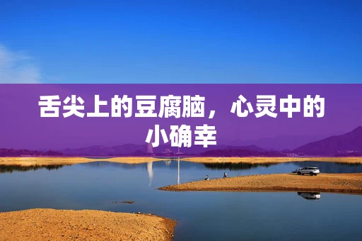 舌尖上的豆腐脑，心灵中的小确幸