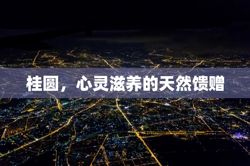 桂圆，心灵滋养的天然馈赠