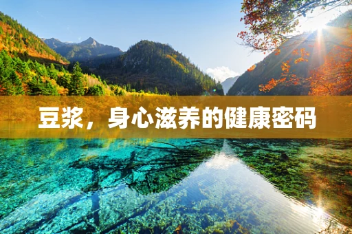 豆浆，身心滋养的健康密码