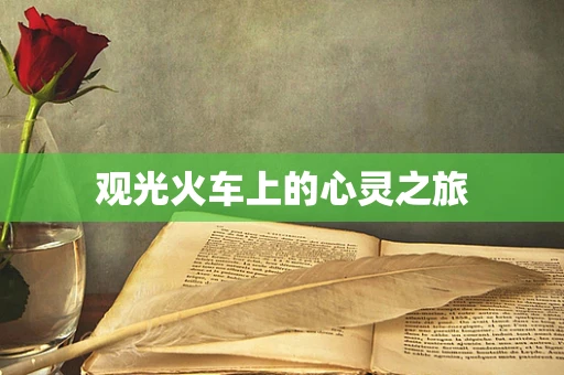 观光火车上的心灵之旅