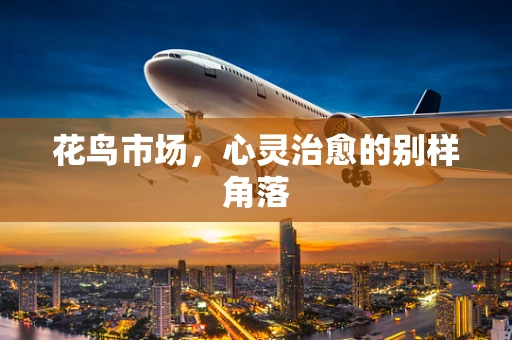 花鸟市场，心灵治愈的别样角落