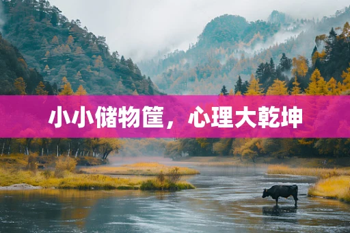 小小储物筐，心理大乾坤