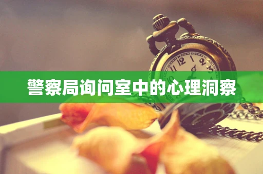 警察局询问室中的心理洞察