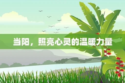 当阳，照亮心灵的温暖力量