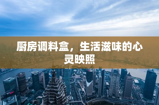厨房调料盒，生活滋味的心灵映照