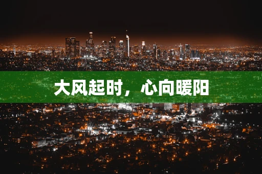 大风起时，心向暖阳