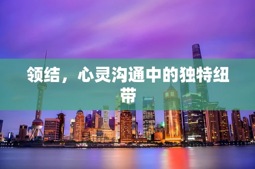 领结，心灵沟通中的独特纽带