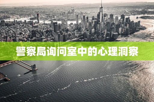 警察局询问室中的心理洞察