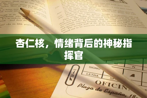 杏仁核，情绪背后的神秘指挥官