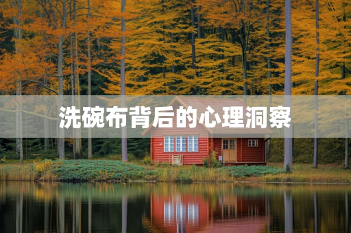 洗碗布背后的心理洞察