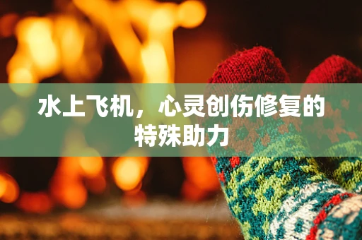 水上飞机，心灵创伤修复的特殊助力