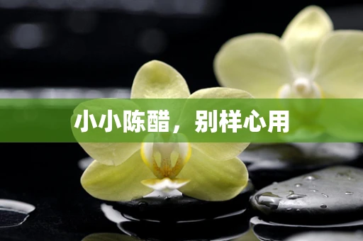 小小陈醋，别样心用