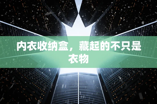内衣收纳盒，藏起的不只是衣物