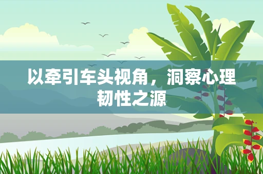 以牵引车头视角，洞察心理韧性之源