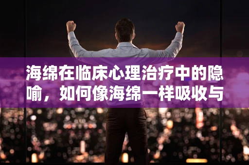 海绵在临床心理治疗中的隐喻，如何像海绵一样吸收与释放？
