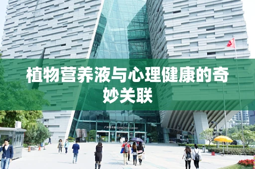 植物营养液与心理健康的奇妙关联
