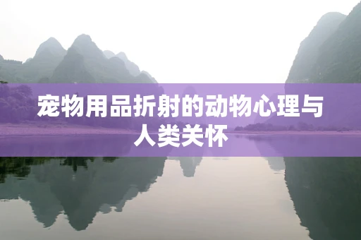 宠物用品折射的动物心理与人类关怀
