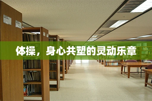 体操，身心共塑的灵动乐章
