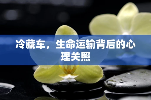 冷藏车，生命运输背后的心理关照