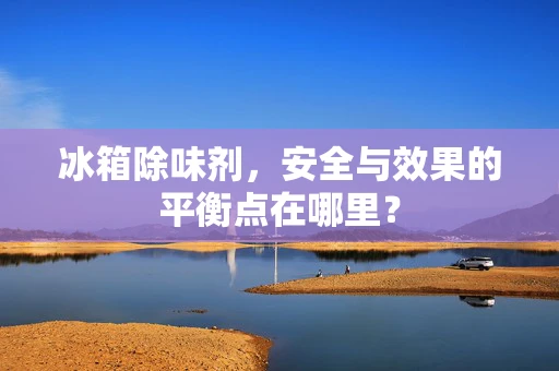 冰箱除味剂，安全与效果的平衡点在哪里？