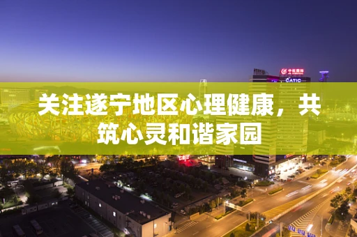 关注遂宁地区心理健康，共筑心灵和谐家园