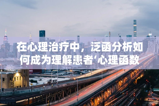 在心理治疗中，泛函分析如何成为理解患者‘心理函数’的钥匙？