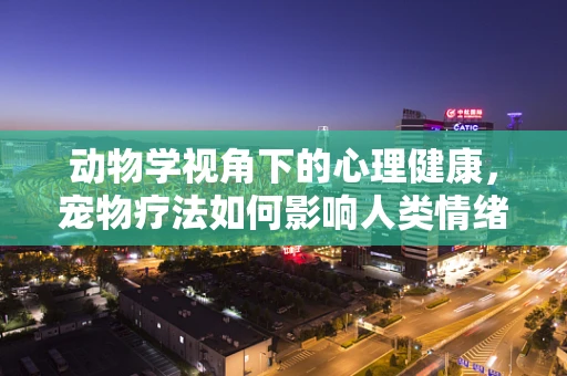 动物学视角下的心理健康，宠物疗法如何影响人类情绪？