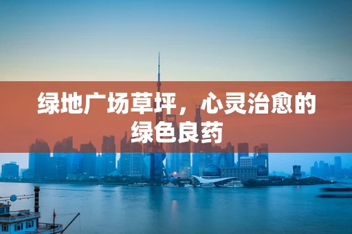 绿地广场草坪，心灵治愈的绿色良药
