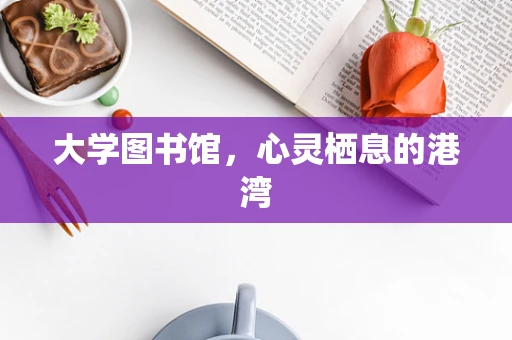 大学图书馆，心灵栖息的港湾