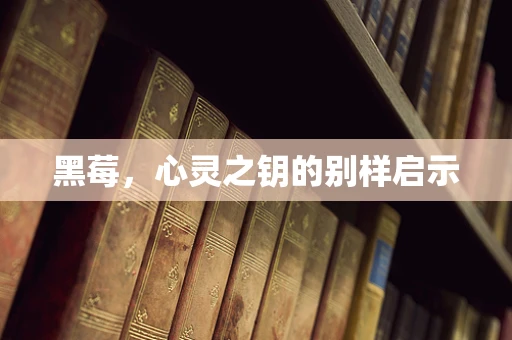 黑莓，心灵之钥的别样启示