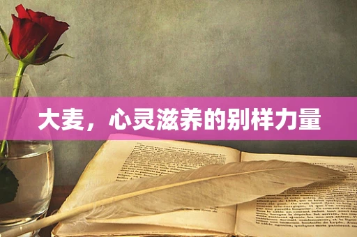 大麦，心灵滋养的别样力量