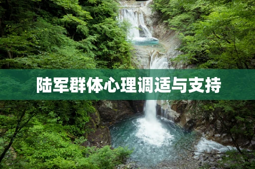 陆军群体心理调适与支持