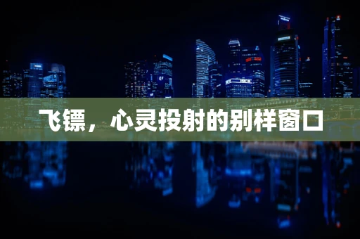 飞镖，心灵投射的别样窗口