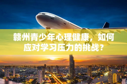 赣州青少年心理健康，如何应对学习压力的挑战？