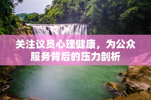 关注议员心理健康，为公众服务背后的压力剖析