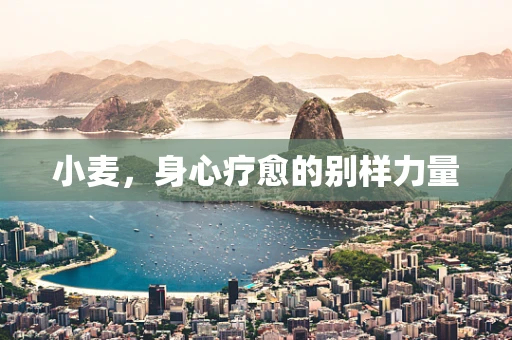 小麦，身心疗愈的别样力量