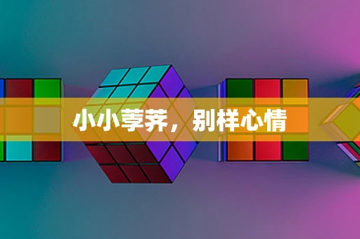 小小荸荠，别样心情