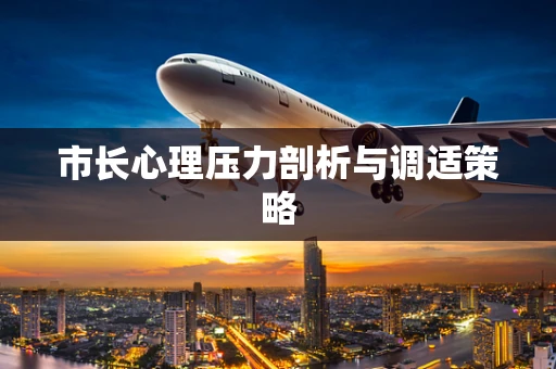 市长心理压力剖析与调适策略
