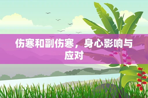伤寒和副伤寒，身心影响与应对