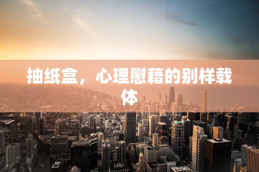 抽纸盒，心理慰藉的别样载体