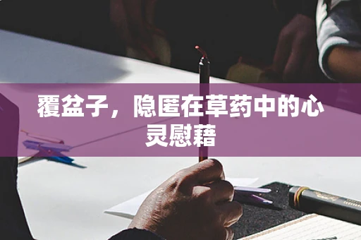 覆盆子，隐匿在草药中的心灵慰藉