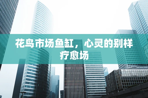 花鸟市场鱼缸，心灵的别样疗愈场