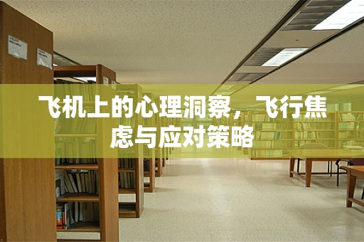 飞机上的心理洞察，飞行焦虑与应对策略