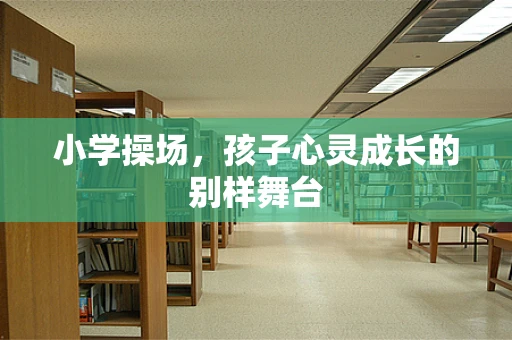 小学操场，孩子心灵成长的别样舞台