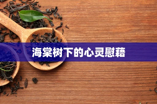 海棠树下的心灵慰藉