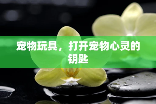 宠物玩具，打开宠物心灵的钥匙